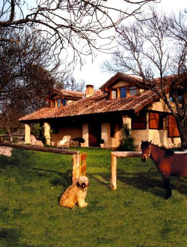 Las Casas Del Palomar I & II