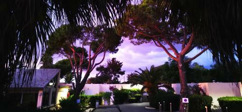 Hotel Thailand Smile Resort Chiangmai