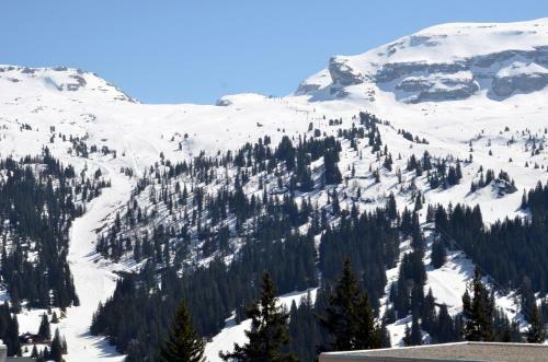 Apartamento Appartement Flaine For�t