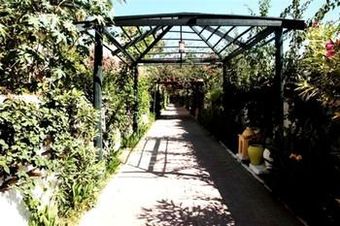 Hotel Nesrine