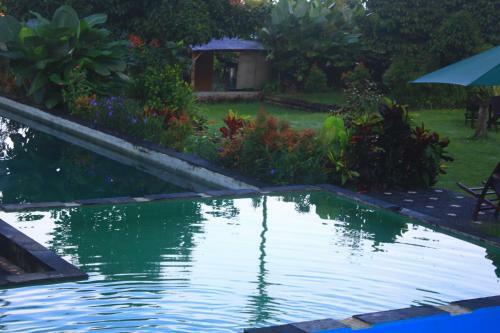Bed & Breakfast Amartya Puri Green Cottages