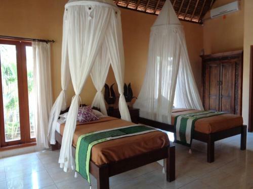 Hostal Mushroom Garden Villas