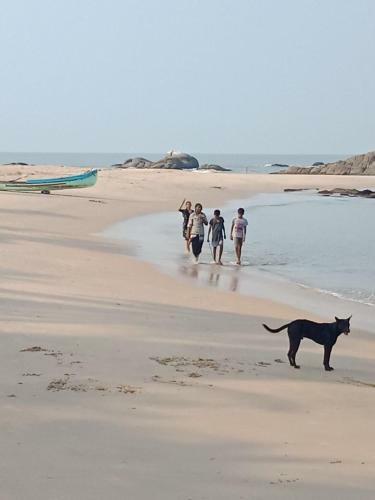 Kizhunnarocks Beach Resort