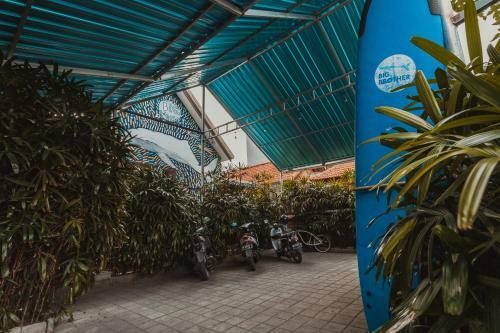 Hostal Big Brother Surf Inn