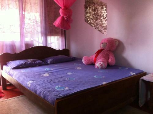 Hostal Robert Inn Dambulla