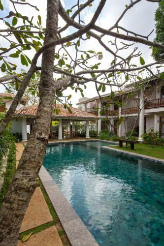 Bilin Tree House