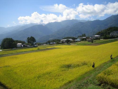 Bed & Breakfast Pension Field