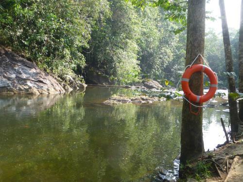 Hotel Sinharaja Adventure Resort