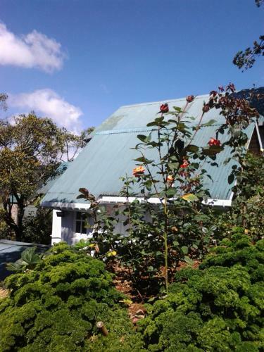 Hostal Guest House Sincere Wilderness