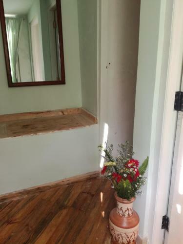 Hostal Guest House Sincere Wilderness
