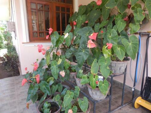 Waja Bed & Breakfast