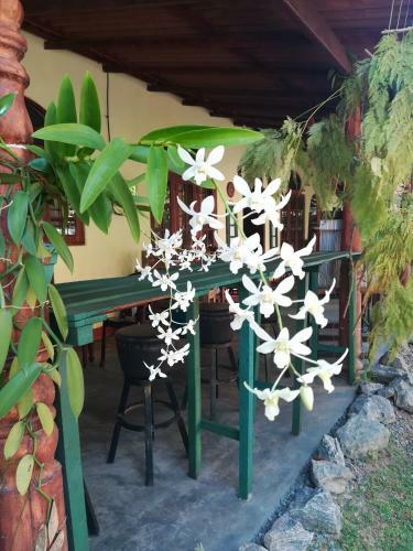 Grand Traverse Homestay