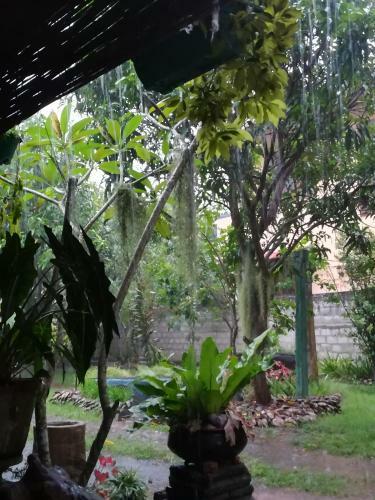 Grand Traverse Homestay