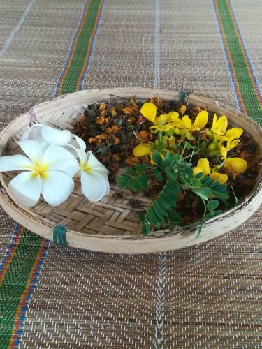 Grand Traverse Homestay