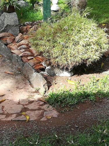 Grand Traverse Homestay
