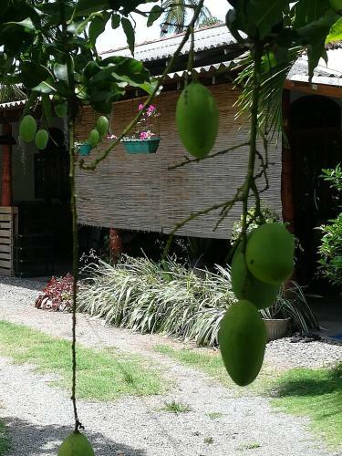 Grand Traverse Homestay