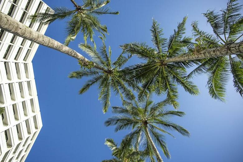 Hotel Rydges Esplanade Resort Cairns