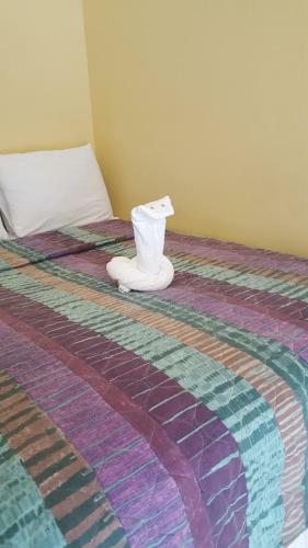 Hostal Aupic Paradise