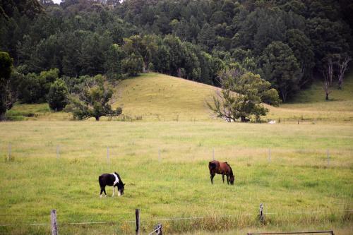 Apartamento Mooyabil Farm Holidays