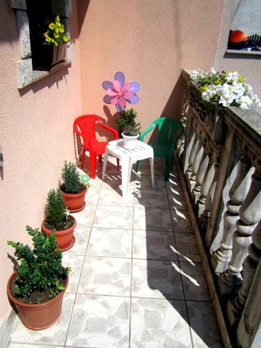 Apartment Lollipop