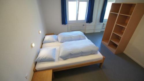 Albergue Schwendihaus