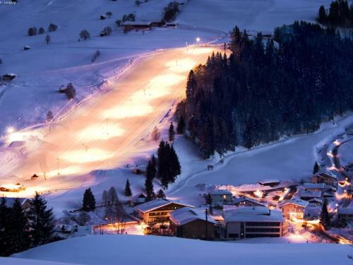 Haus Leogang