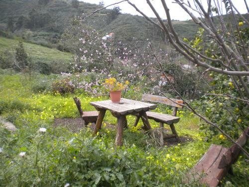 Finca Naturacanaria
