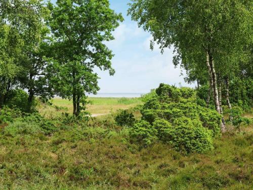 Three-bedroom Holiday Home In Hadsund 43