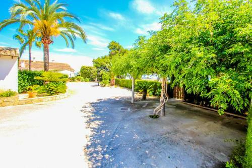 Villa Finca Coello