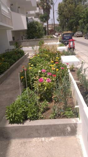 Fania Apartments
