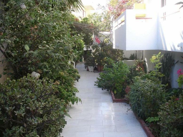 Stergia Apartments