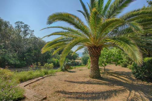 Secic- Villa 200m De La Plage Tiuccia