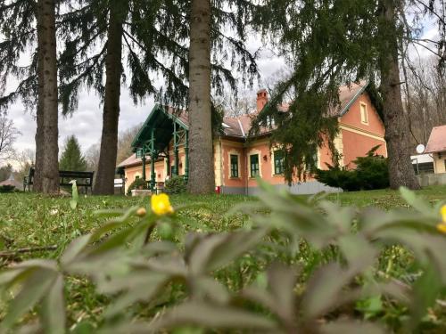 Bed & Breakfast St. Hubertus �tterem �s Panzi�