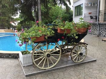 Hotel Briz(.)