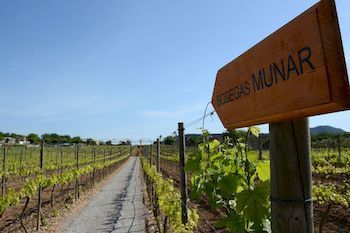 Agroturismo Sa Vinya Des Convent