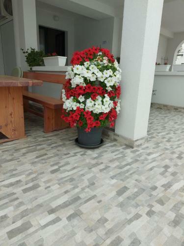 Hostal Guesthouse Raffaello