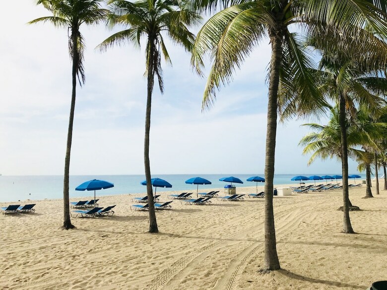 Hotel The Ritz-carlton Fort Lauderdale
