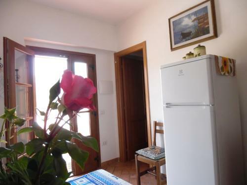 Agroturismo La Casa Rosa