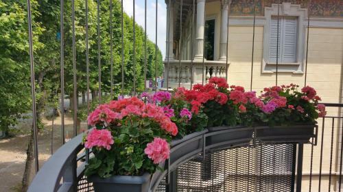 Bed & Breakfast Beb Le Terrazze Torino - Ciri�