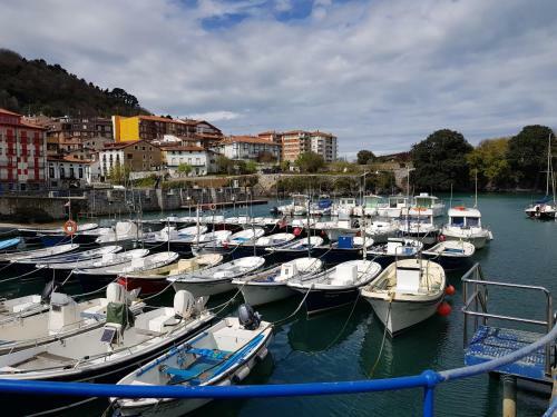 Apartamento Mundaka Sea Flat