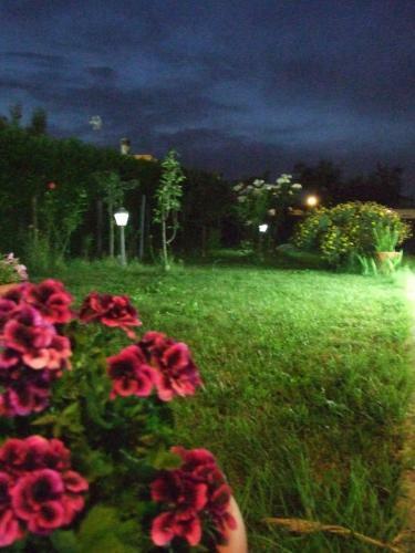 B&B Il Sentiero Del Pesco