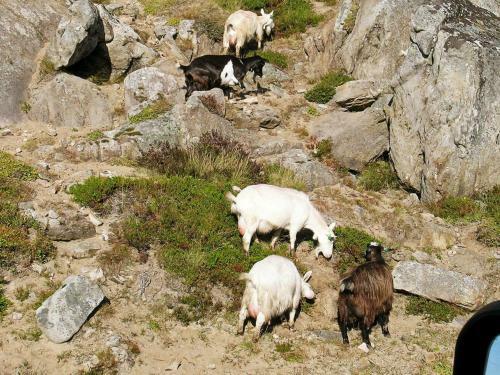 Three-bedroom Holiday Home In Leknes 1