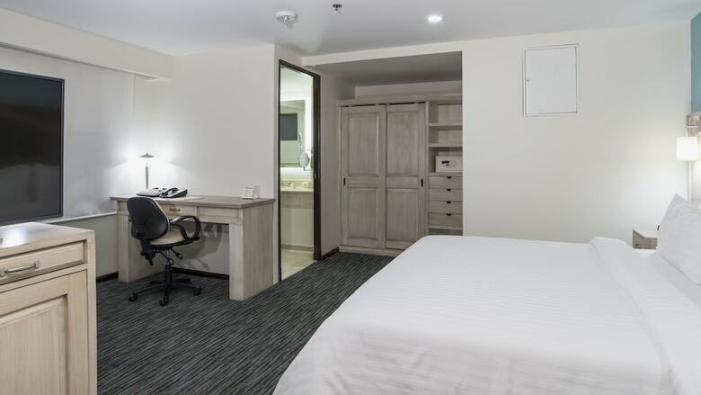 Holiday Inn Hotel & Suites Zona Rosa