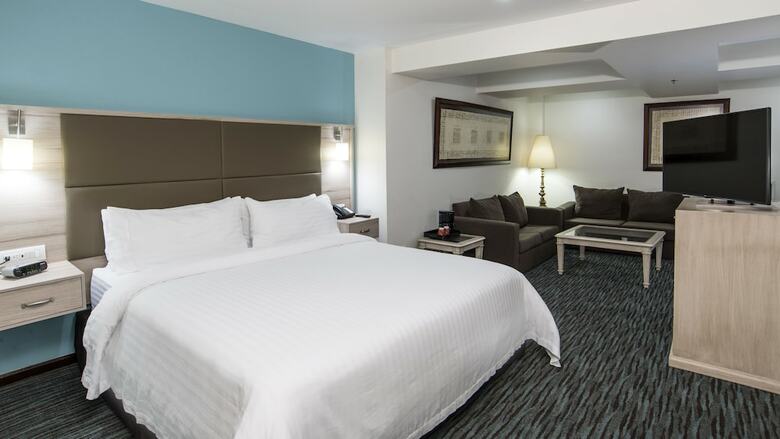 Holiday Inn Hotel & Suites Zona Rosa