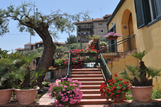 B&B Stella Marina