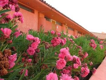 Hotel San Felipe Marina Resort