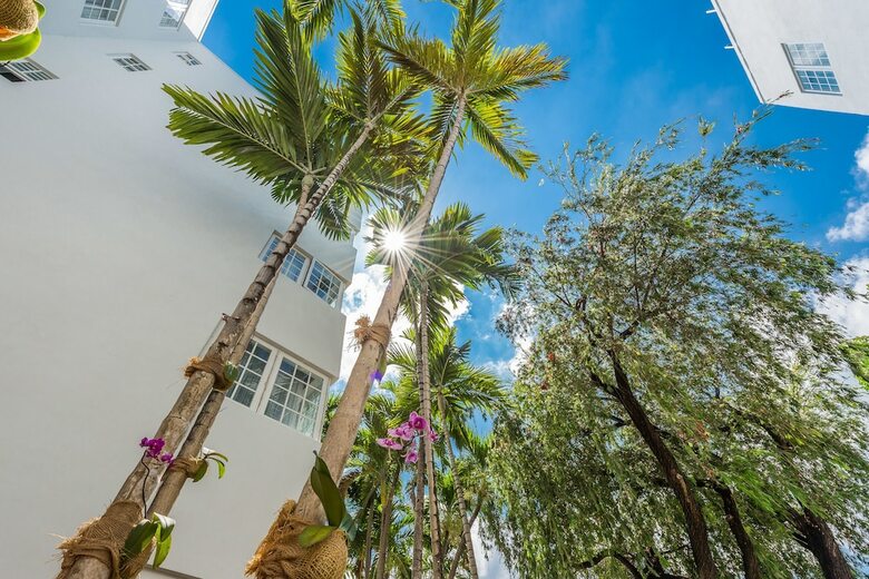 Hotel Belleza