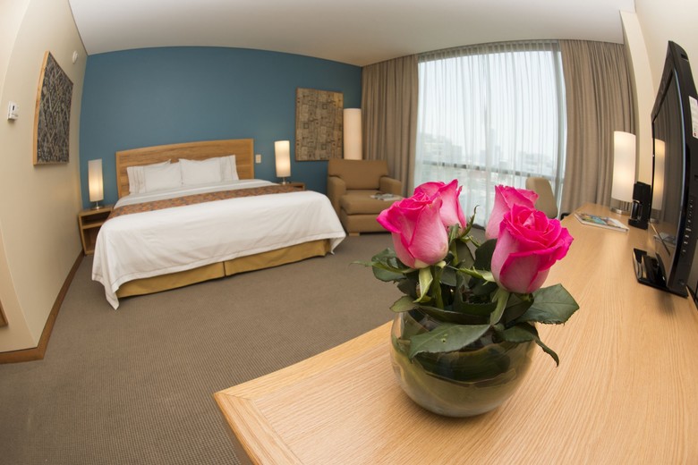Hotel Holiday Inn Express Mexico Paseo De La Reforma