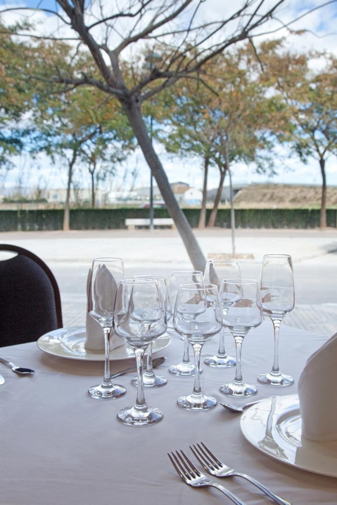 Hotel Plaza Alaquas