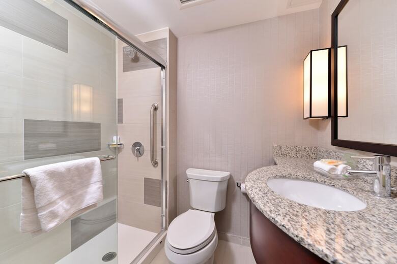 Hotel Holiday Inn New York City - Times Square